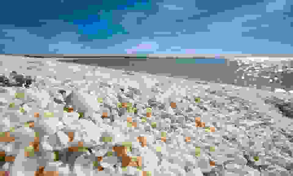 snowhite8.jpg