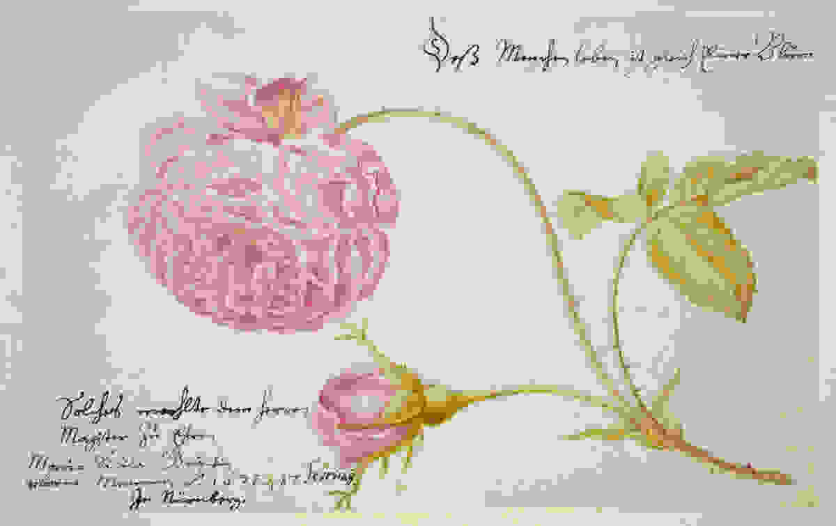 ta-ekpliktika-erga-kai-i-zoi-mias-tyxodioktrias-votanologou1675.jpg