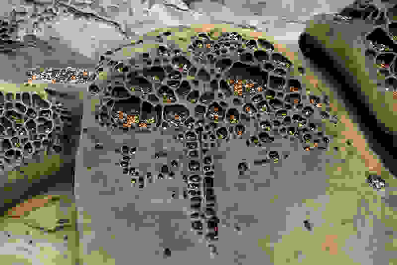 tafoni1.jpg