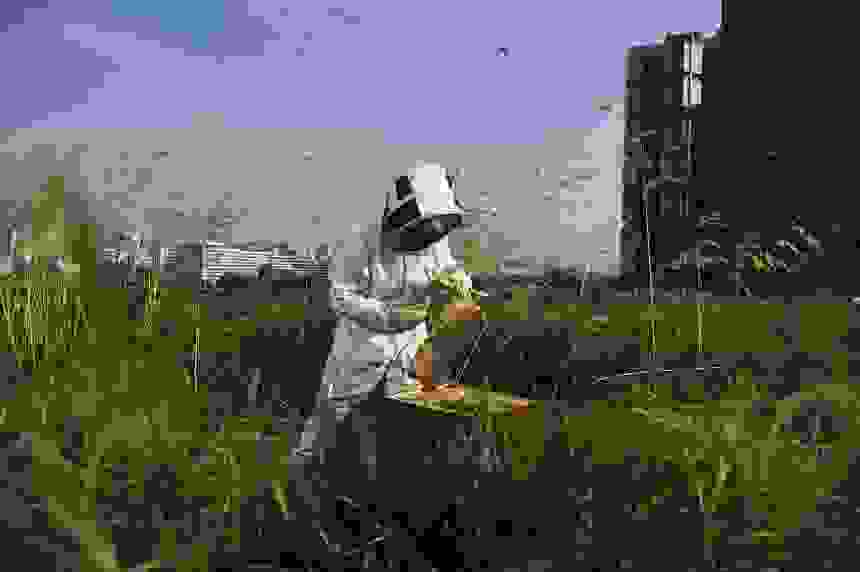 taratsa7.jpg
