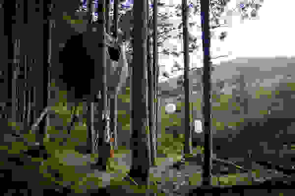 tentsile11.jpg