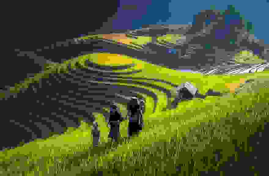 terraced-rice-fields-28__880.jpg
