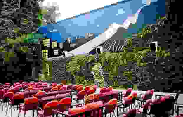 therino4.jpg