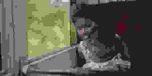 tifla-koritsia2.jpg