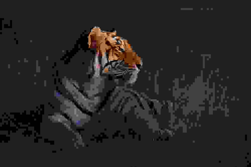tigers19.jpg