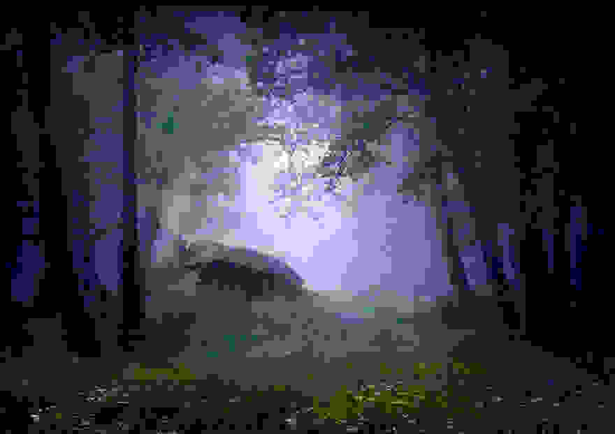 tiny-house-fairytale-nature-landscape-photography-19__880.jpg