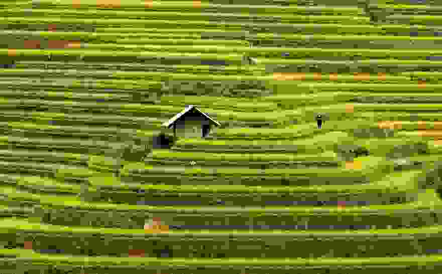 tiny-house-fairytale-nature-landscape-photography-40__880.jpg