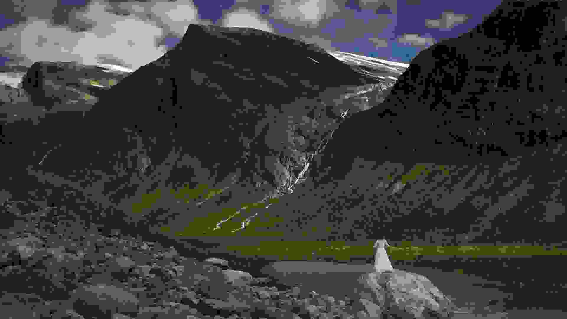 to-apolyto-album-gamou17.jpg