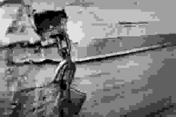 tsiganoi1.jpg