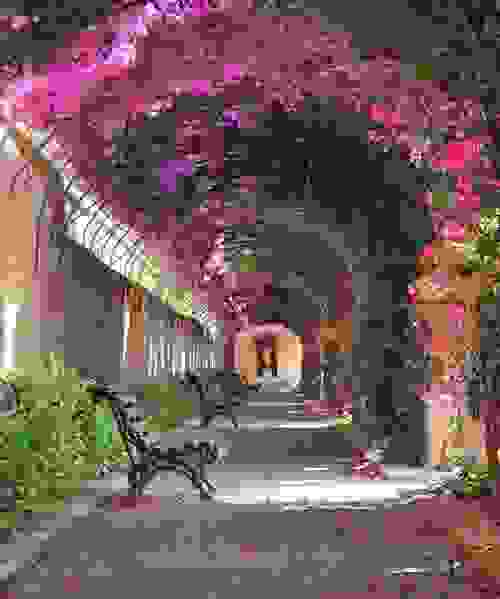 valenthia.jpg