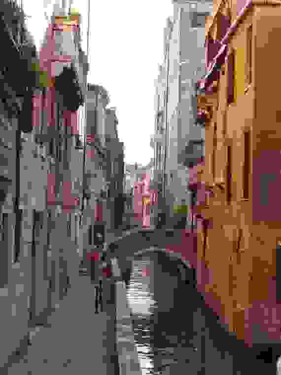 venetia.jpg