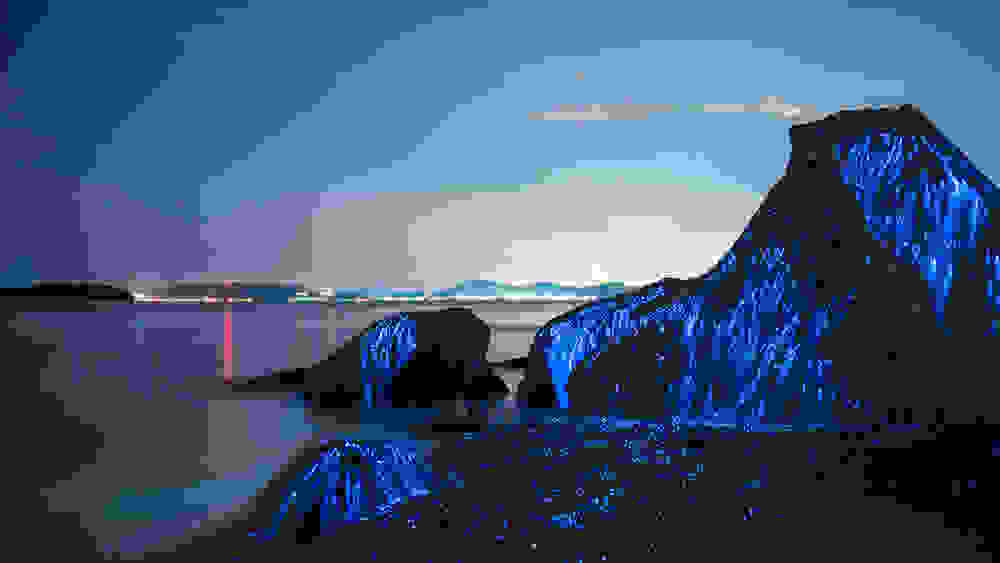 viofos1.jpg