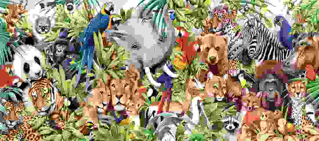 wad-graphic-2.jpg