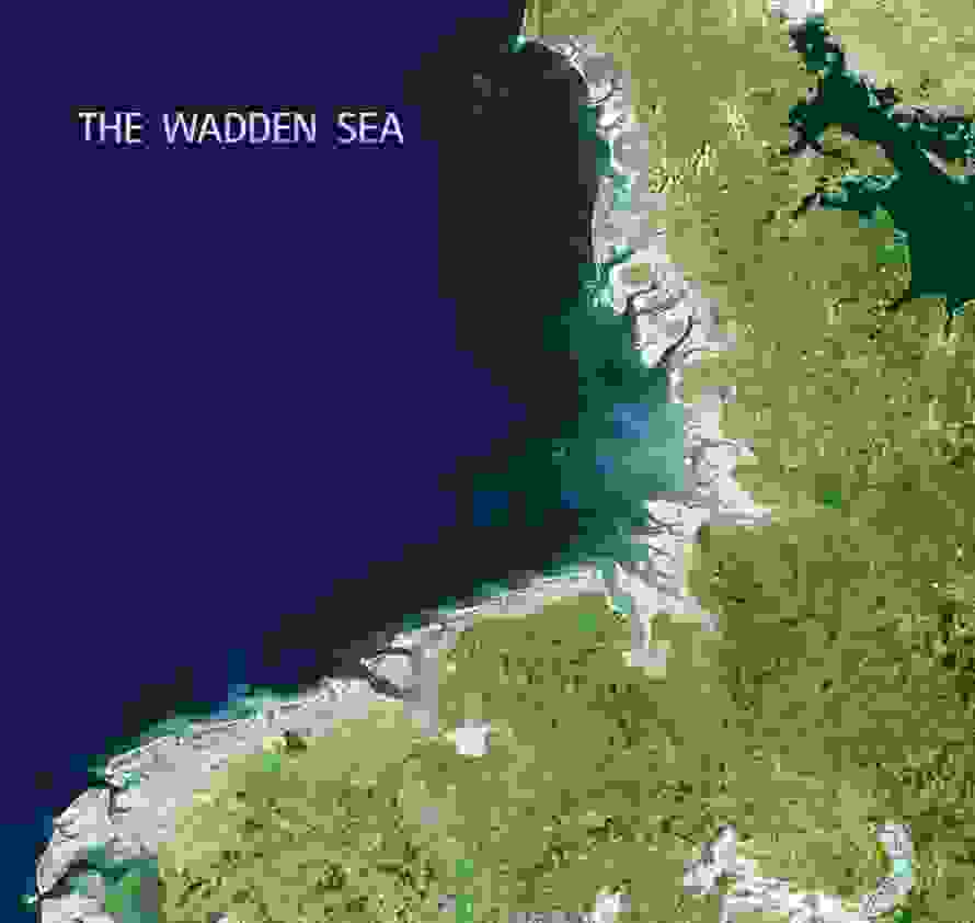 waddenh.jpg