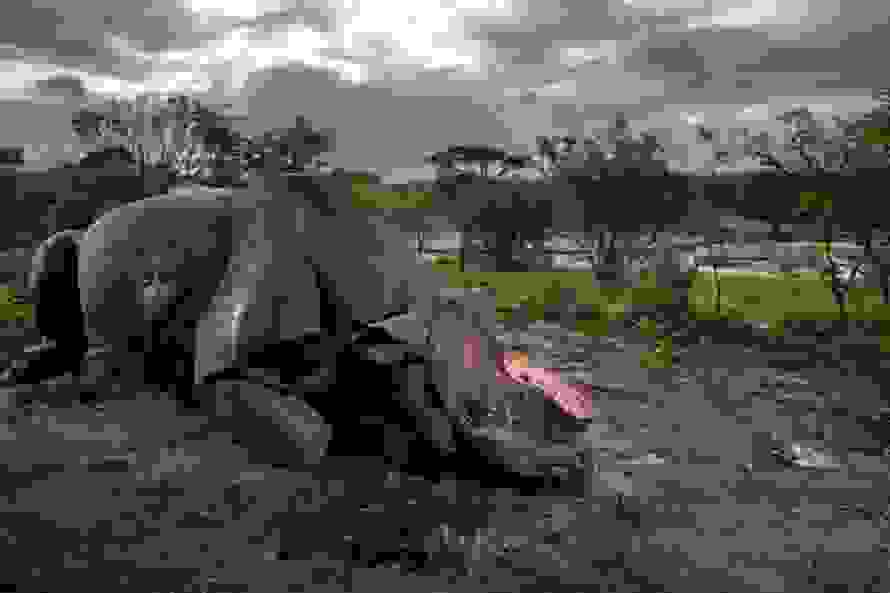 wildlife-photographer.jpg