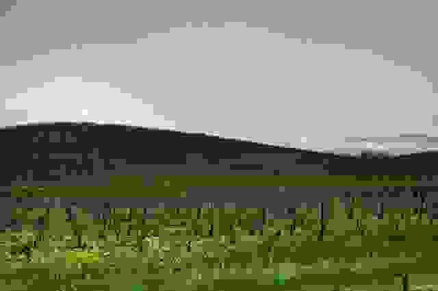 windows-xp-bliss-wallpaper-today-640x425.jpg