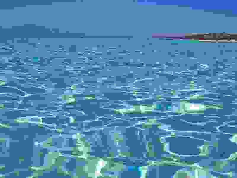 xrysh2