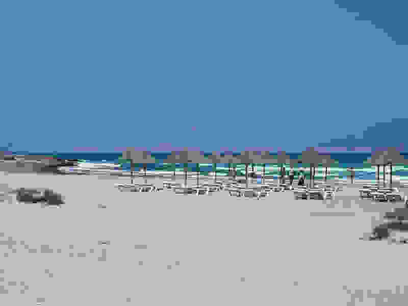 xrysh4.jpg