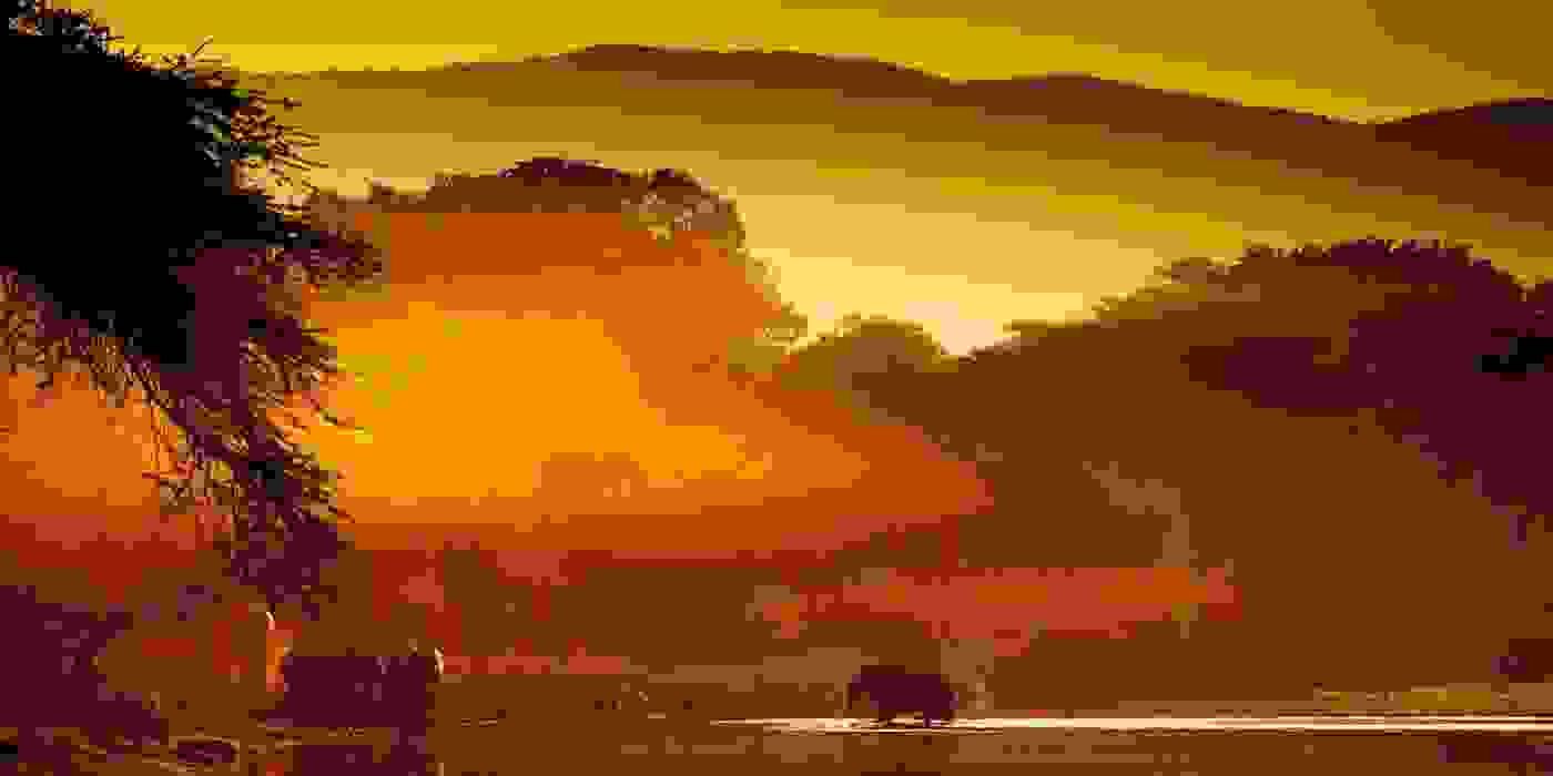 zambia72.jpg