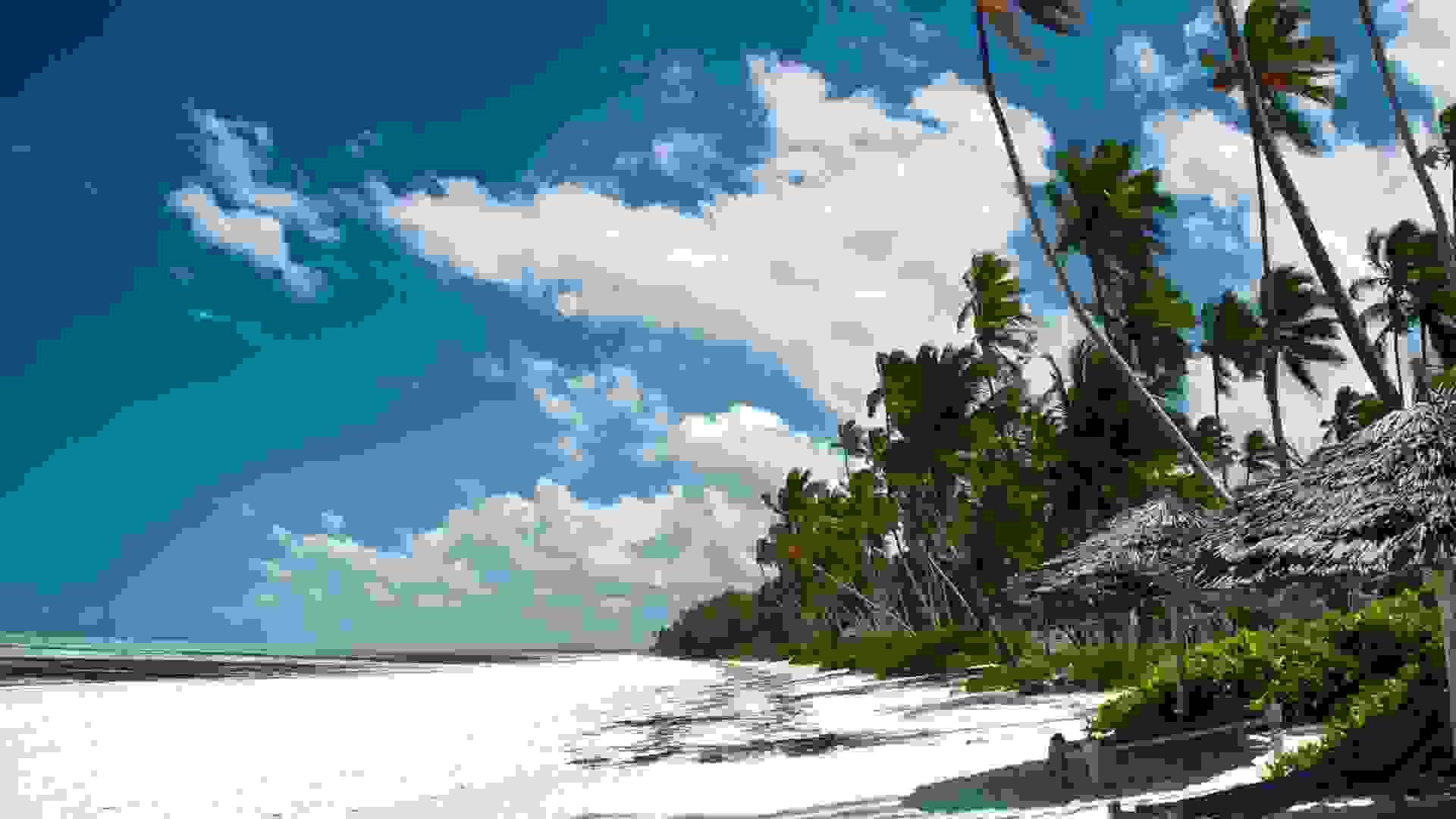zanzibar-beaches-pictures.jpg