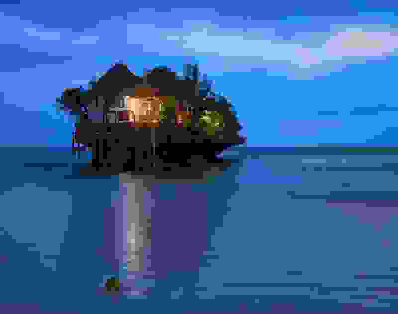zanzivari-012.jpg