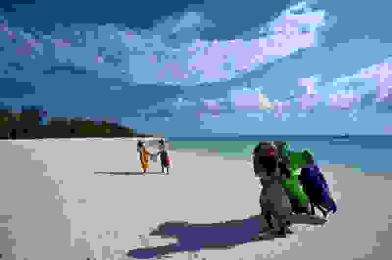zanzivari-11.jpg