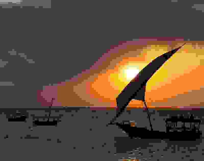 zanzivari-6.jpg