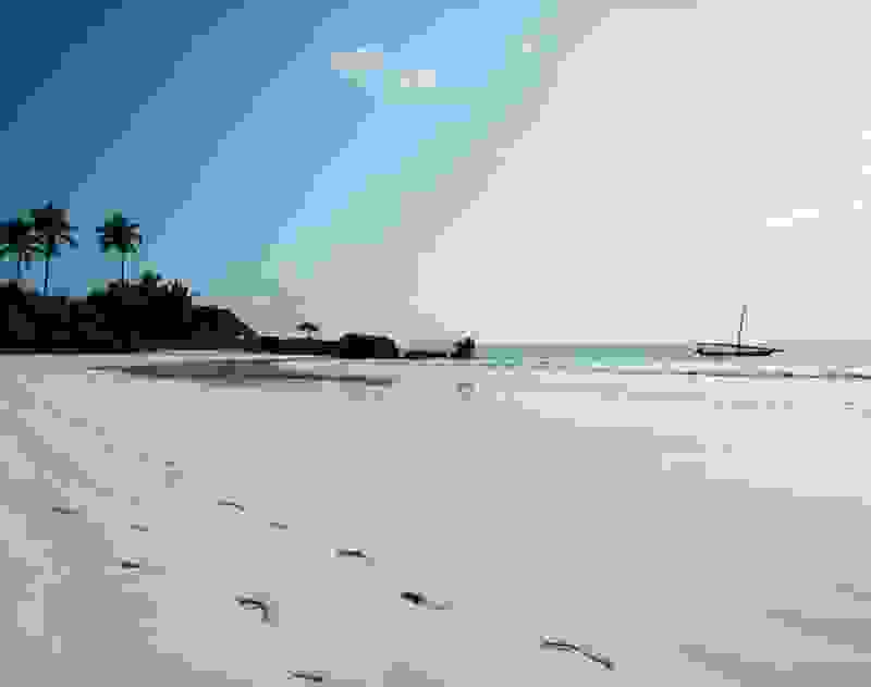zanzivari-Asilia.jpg