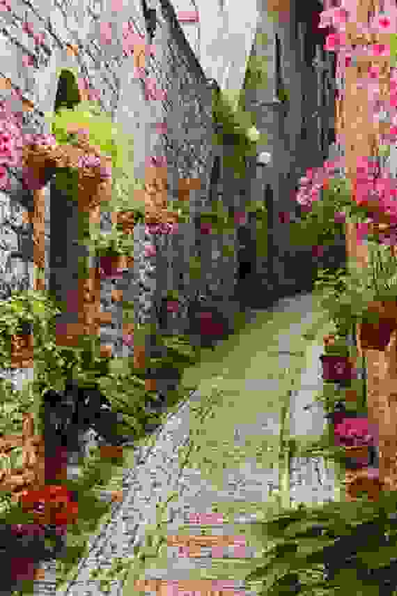 ziverni.jpg