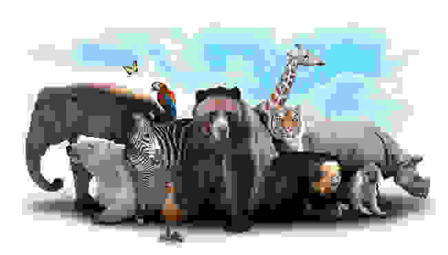 zoo-www.jpg