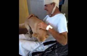 Σκύλος περίμενε για μέρες έξω από το νοσοκομείο τον ιδιοκτήτη του (video)