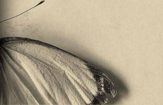 Έριχ Φρομ: «Εγώ είμαι πραγματικά εκείνος που επιθυμεί όλα αυτά;»