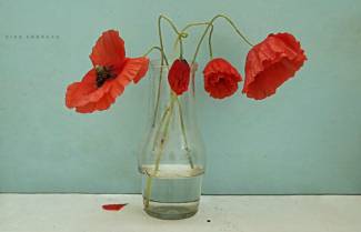 Αργοπεθαίνει όποιος...