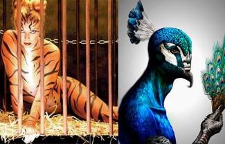 Τίγρεις, παγώνια και άλλα ζώα