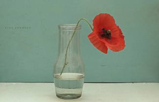 Αργύρης Χιόνης - Η ομορφιά που γεννιόταν και πέθαινε απαρατήρητη και που, παρ’ όλα αυτά, ποτέ δεν το' βαλε κάτω