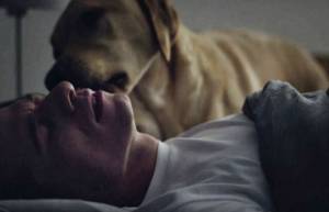 Οι σκύλοι των βετεράνων... (video)