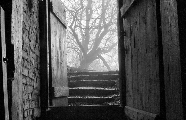 Τάσος Λειβαδίτης | Την πόρτα ανοίγω το βράδυ