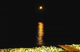 Δ. Π. Παπαδίτσας, «Από πού έρχεται η νύχτα;»