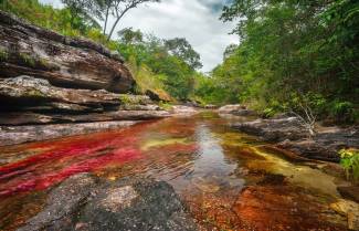 Caño Cristales: Ένα ουράνιο τόξο από νερό στην Κολομβία
