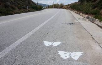 &quot;Βελανιδοφάγοι&quot; vs &quot;Τα φώτα του πολιτισμού&quot;