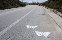 "Βελανιδοφάγοι" vs "Τα φώτα του πολιτισμού"