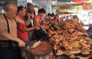 Κίνα: Γιόρτασαν το θερινό ηλιοστάσιο τρώγοντας... σκύλους