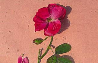 «Το Μονόγραμμα» - Οδυσσέας Ελύτης