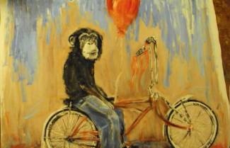 Οι μαϊμούδες στο κλουβί, οι παραδόσεις, τα έθιμα και οι προλήψεις