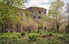 Η φύση «καταπίνει» εγκαταλελειμμένο νησί - σανατόριο έξω απ’ τη Νέα Υόρκη