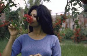 Sophia Loren - Καλοκαίρι του 64