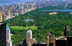 3D φωτογραφία από το Central Park