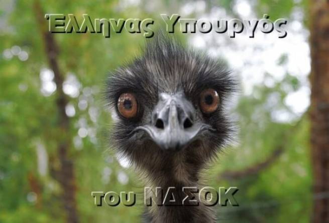 Έλληνας Πολιτικός του ΝΔΣΟΚ
