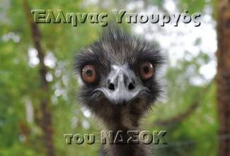 Έλληνας Πολιτικός του ΝΔΣΟΚ