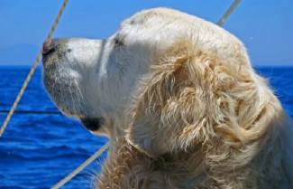 Δεν θα γεράσουμε μαζί…